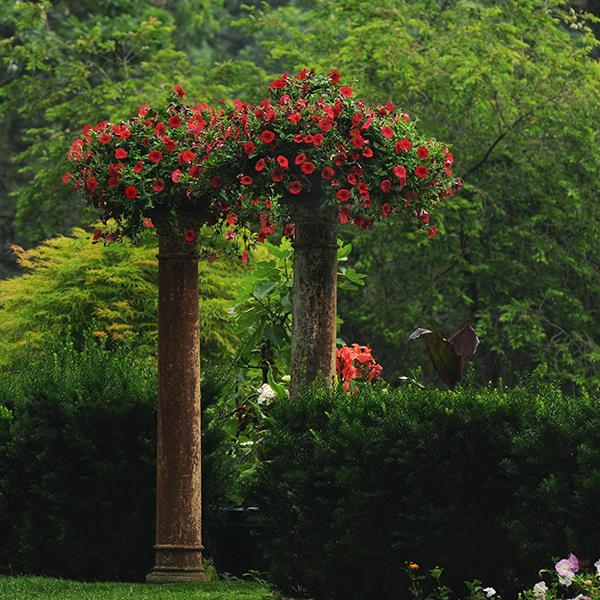 Easy Wave® Red Container 2