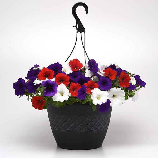 Easy Wave® The Flag Mixture Container 1