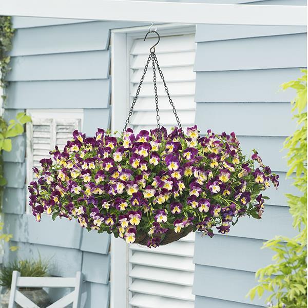 Cool Wave® Raspberry Swirl Container 2