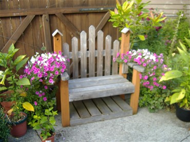 Heidi, tacoma, Washington