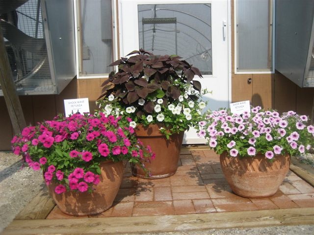 Nina, Washington, Iowa