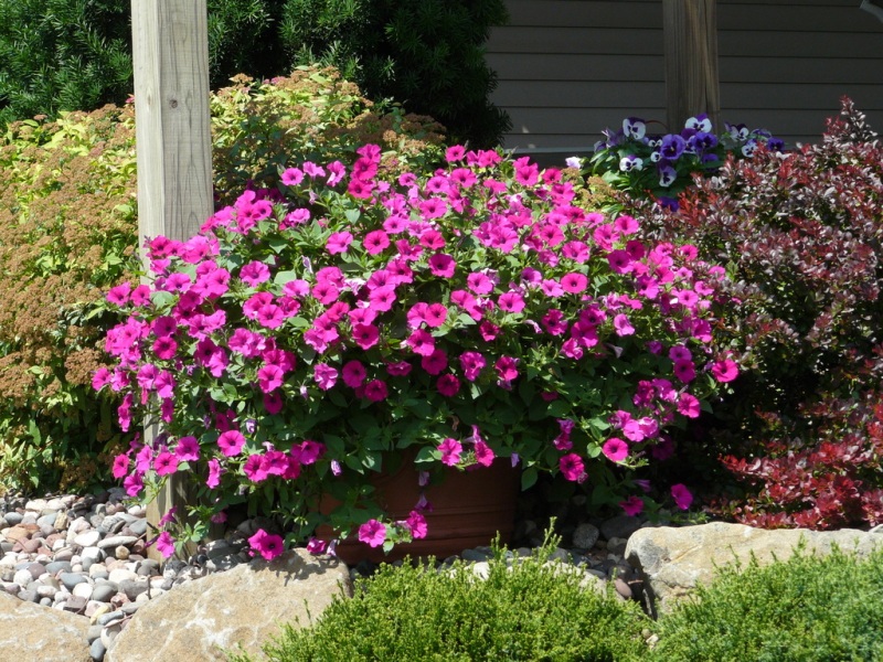 Jodi, Mount Horeb, Wisconsin