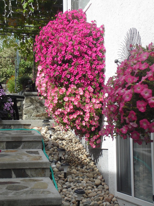 Dolores, OSOYOOS, British Columbia