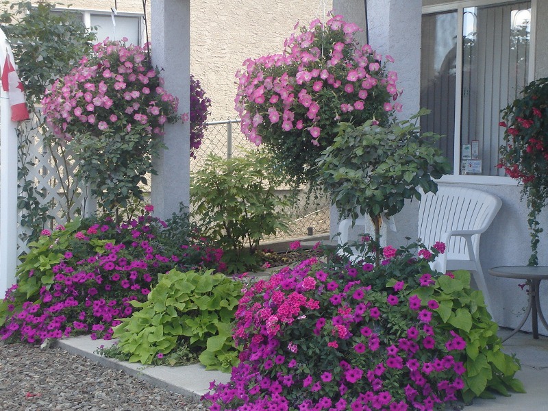 Dolores, OSOYOOS, British Columbia