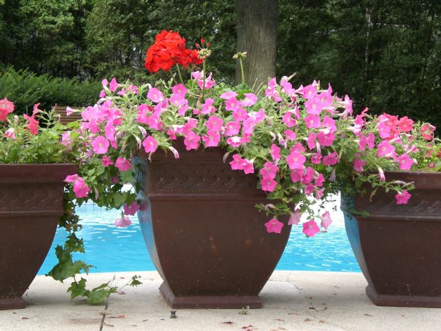 Cathy, Kingsville, Ontario