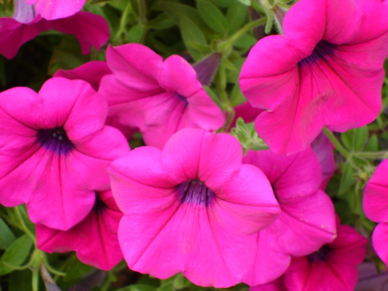 Dolores, OSOYOOS, British Columbia