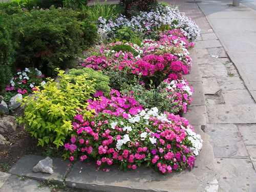 Gayce, Scarborough, Ontario