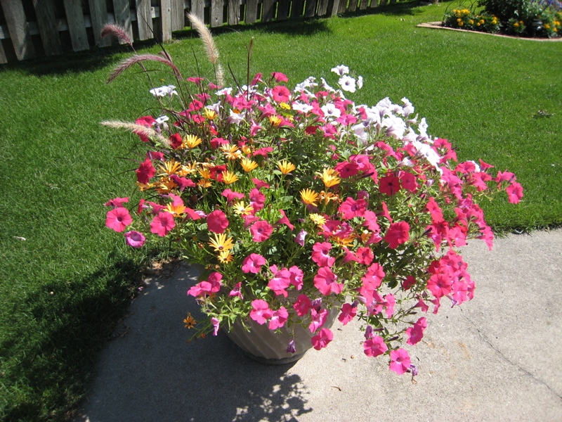 Mary Jane, Eagan, Minnesota