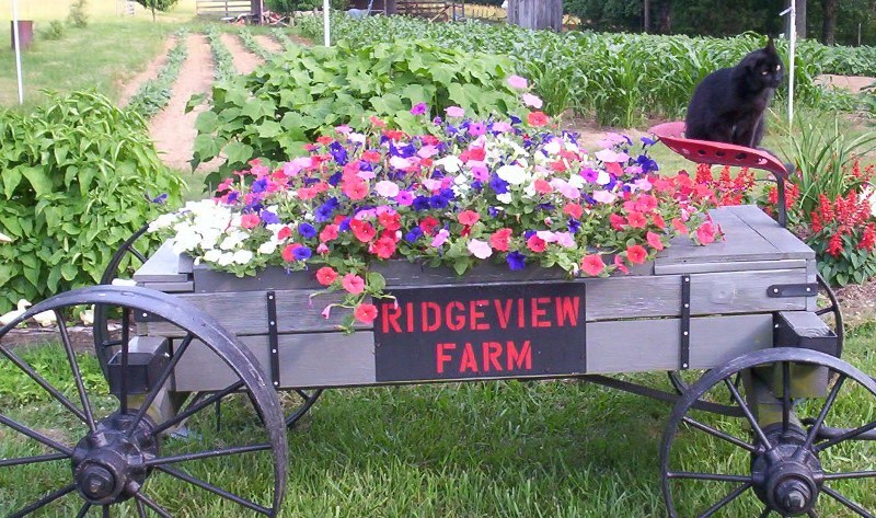 Clay, Hartwell, Georgia