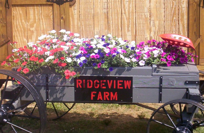 Clay, Hartwell, Georgia