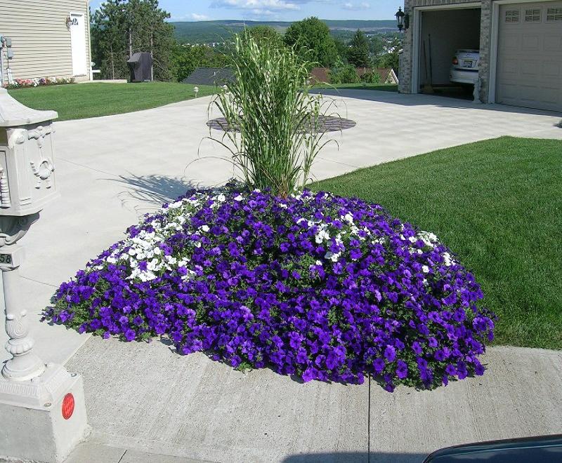 David, Dickson City, Pennsylvania