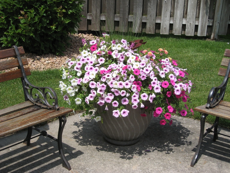 Mary Jane, Eagan, Minnesota