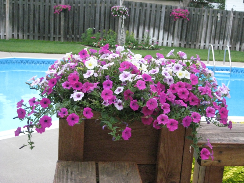 Mary Jane, Eagan, Minnesota