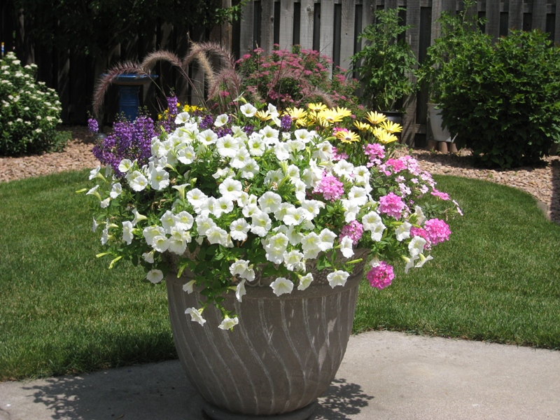 Mary Jane, Eagan, Minnesota