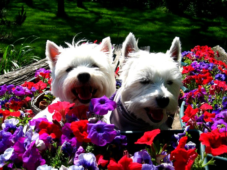 Shari, Waterford, Wisconsin