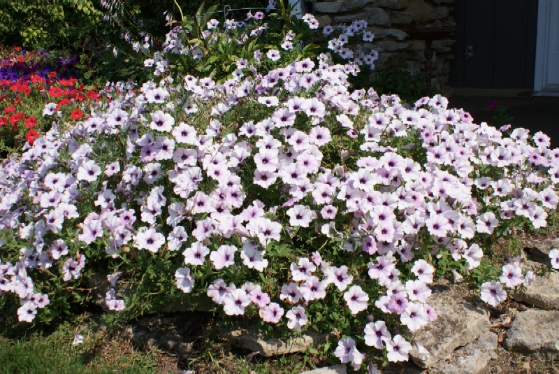 Leigh Ann, Ziosnville, Indiana