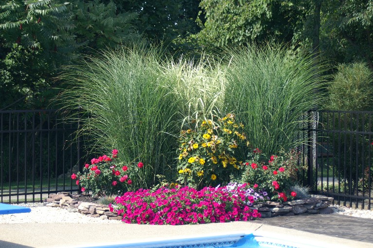 tom, brunswick , Ohio