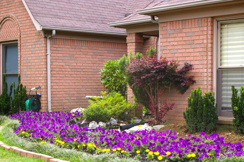 Nancy, Cordova, Tennessee