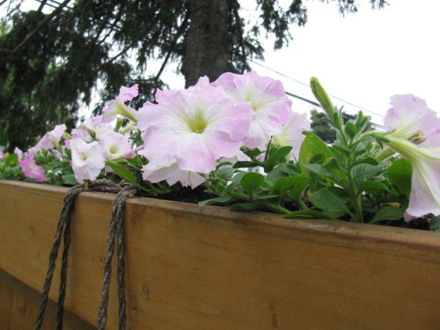 Roberta, Merrick, New York