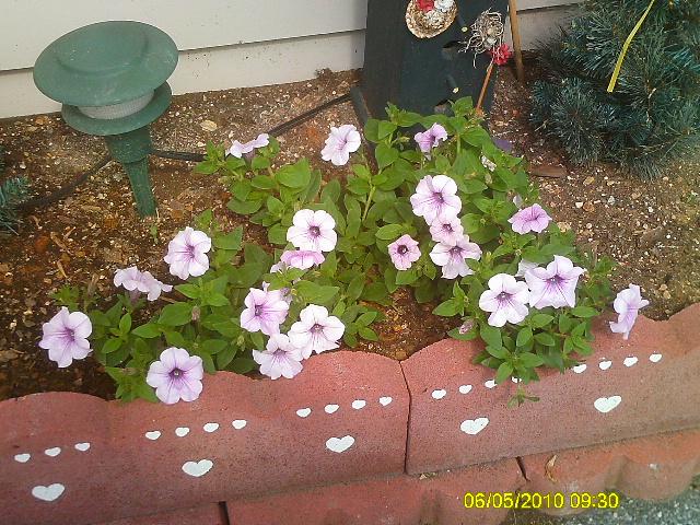 Fay, Lititz, United States