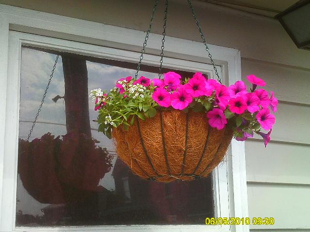 Fay, Lititz, United States