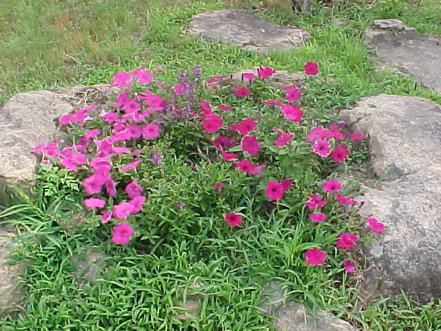 Ruth, Fredericktown, Missouri