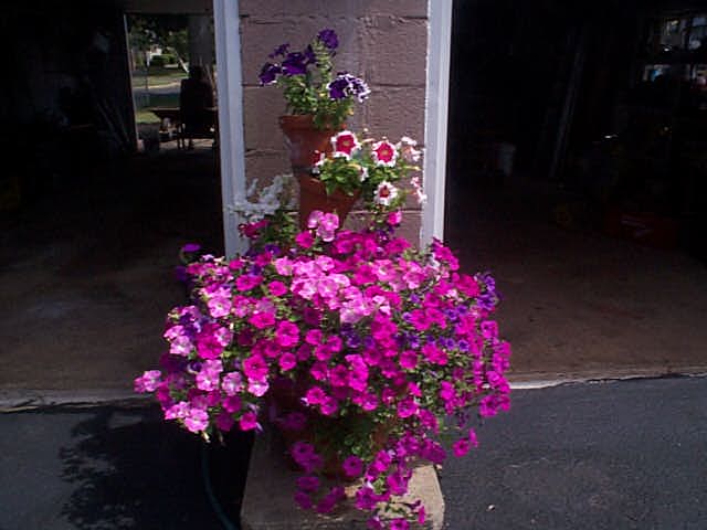 Nell, Somerville , New Jersey