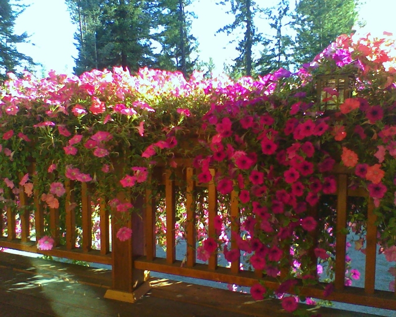 Troy, Rathdrum, Idaho