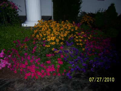 ANASTASIA, PAVILION, New York