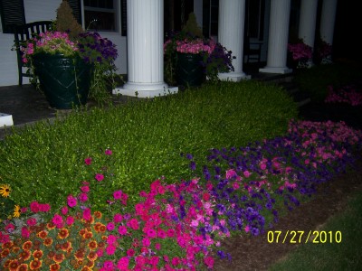 ANASTASIA, PAVILION, New York