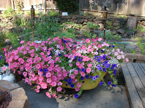 Lori, Spokane, Washington