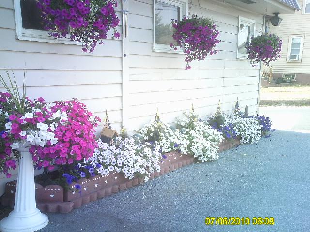 Fay, Lititz, United States