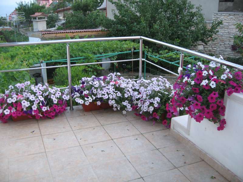 Jeny, Sofia, Bulgaria