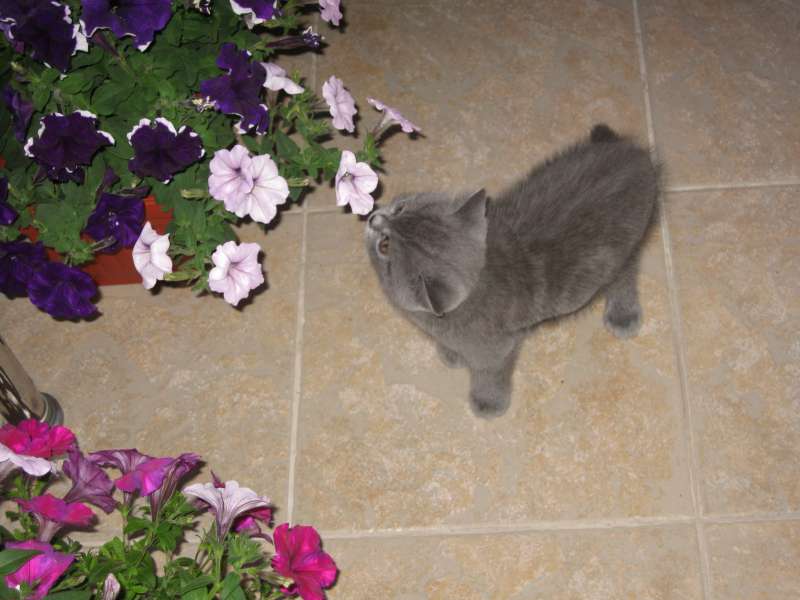 Jeny, Sofia, Bulgaria