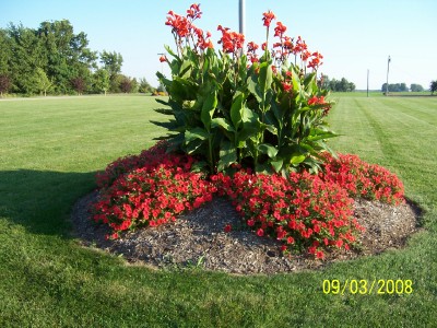 ANASTASIA, PAVILION, New York