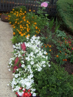 Pratima, Edison, New Jersey