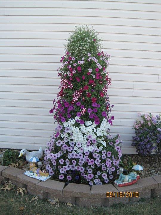 Martha, Celina, Ohio