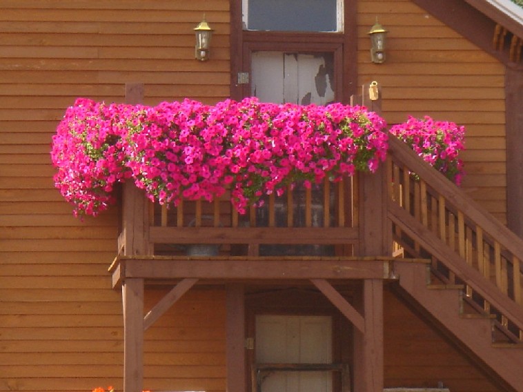 Laura, Yuma, Tennessee