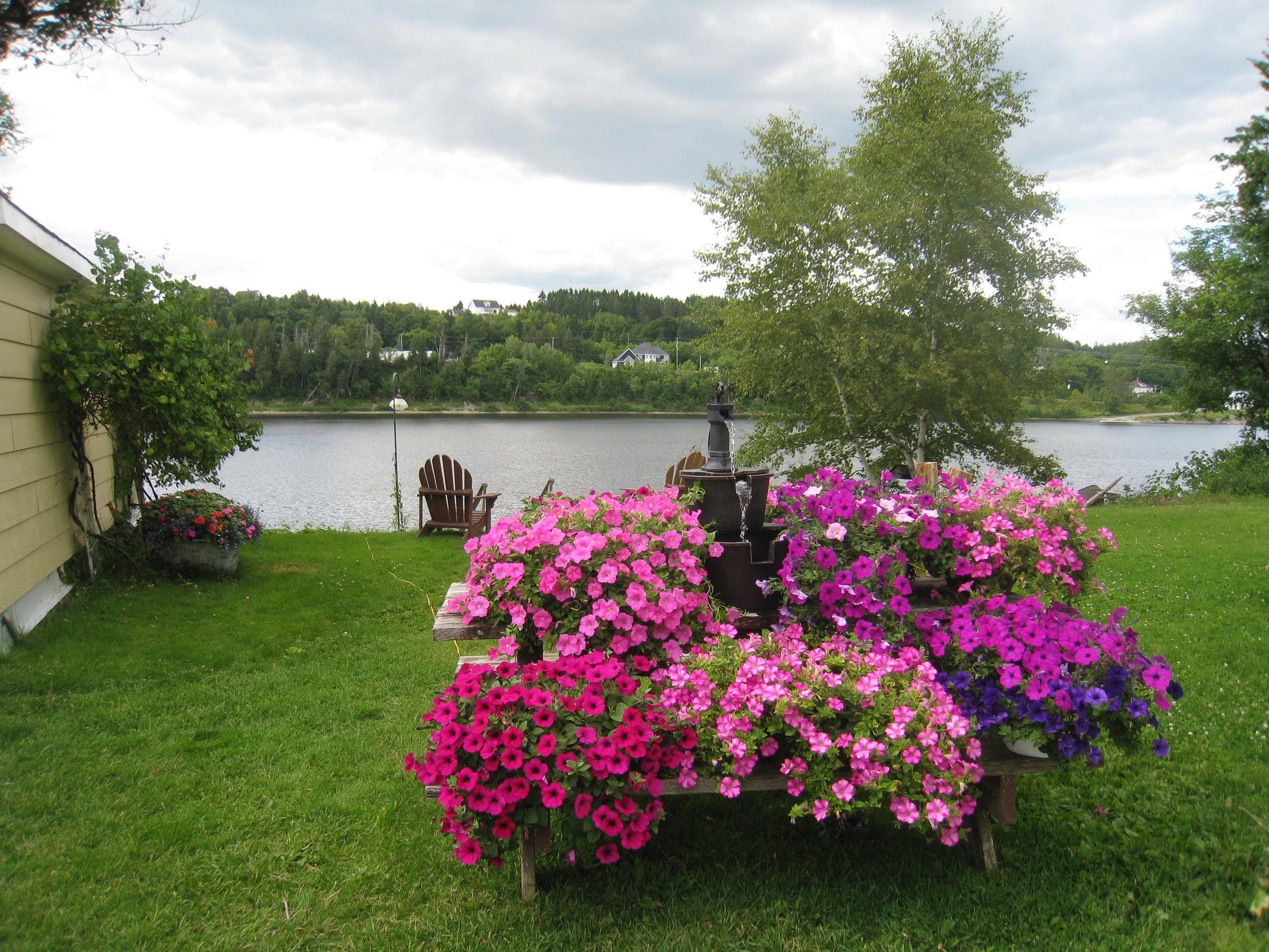 Nancy, Perth-Andover, New Brunswick,Canada