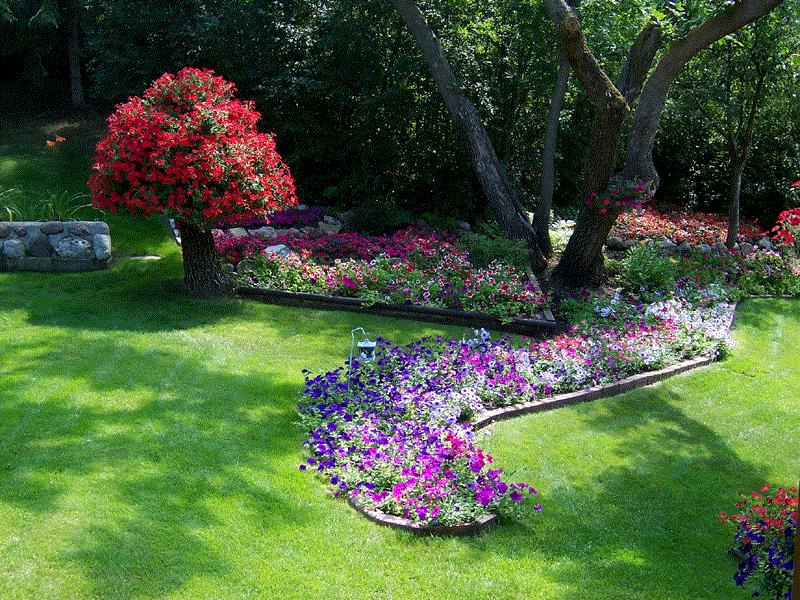 Brenda, Last Mountain Lake, Sask.