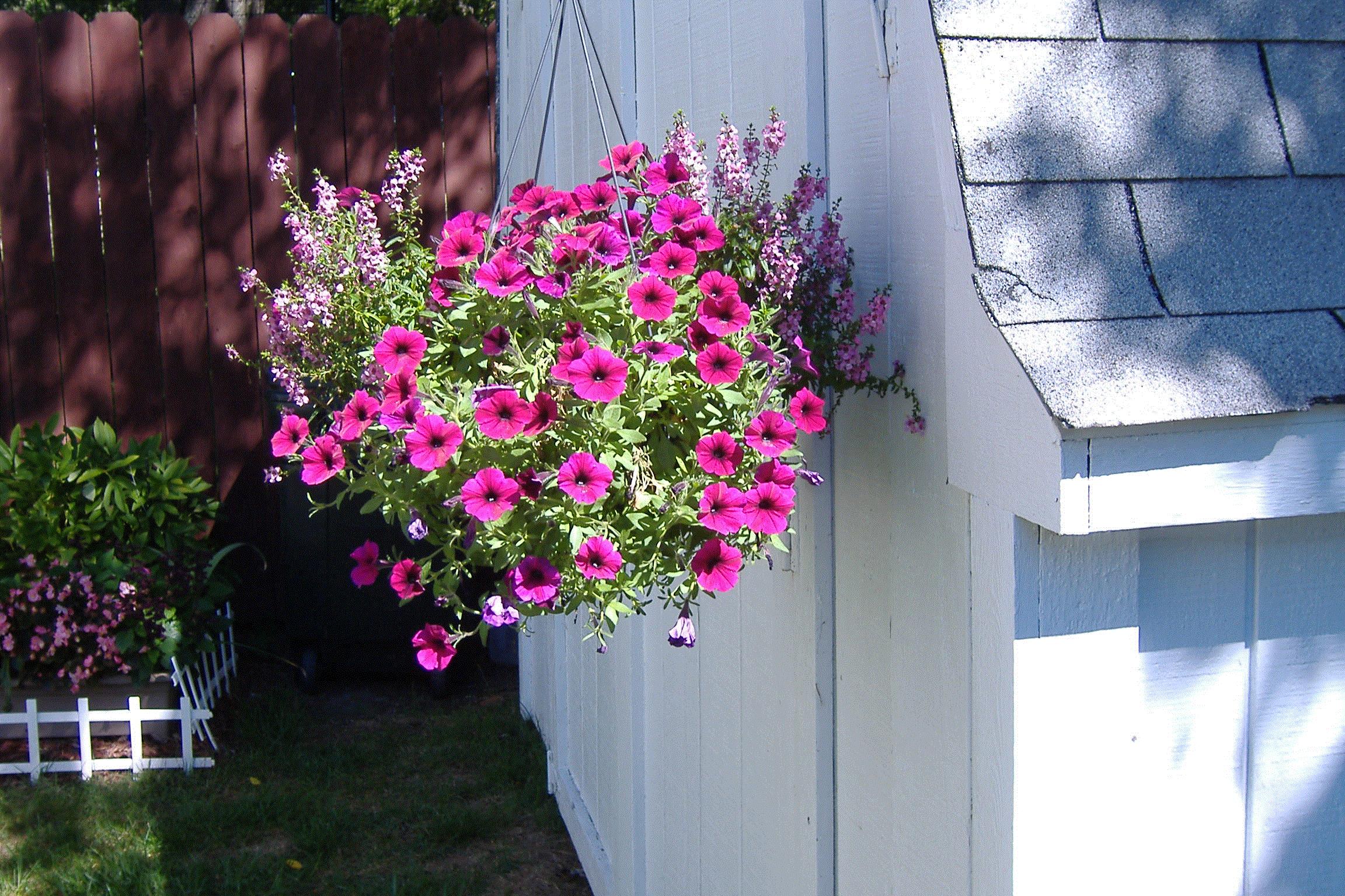 Evelyn, Battle Creek, MI