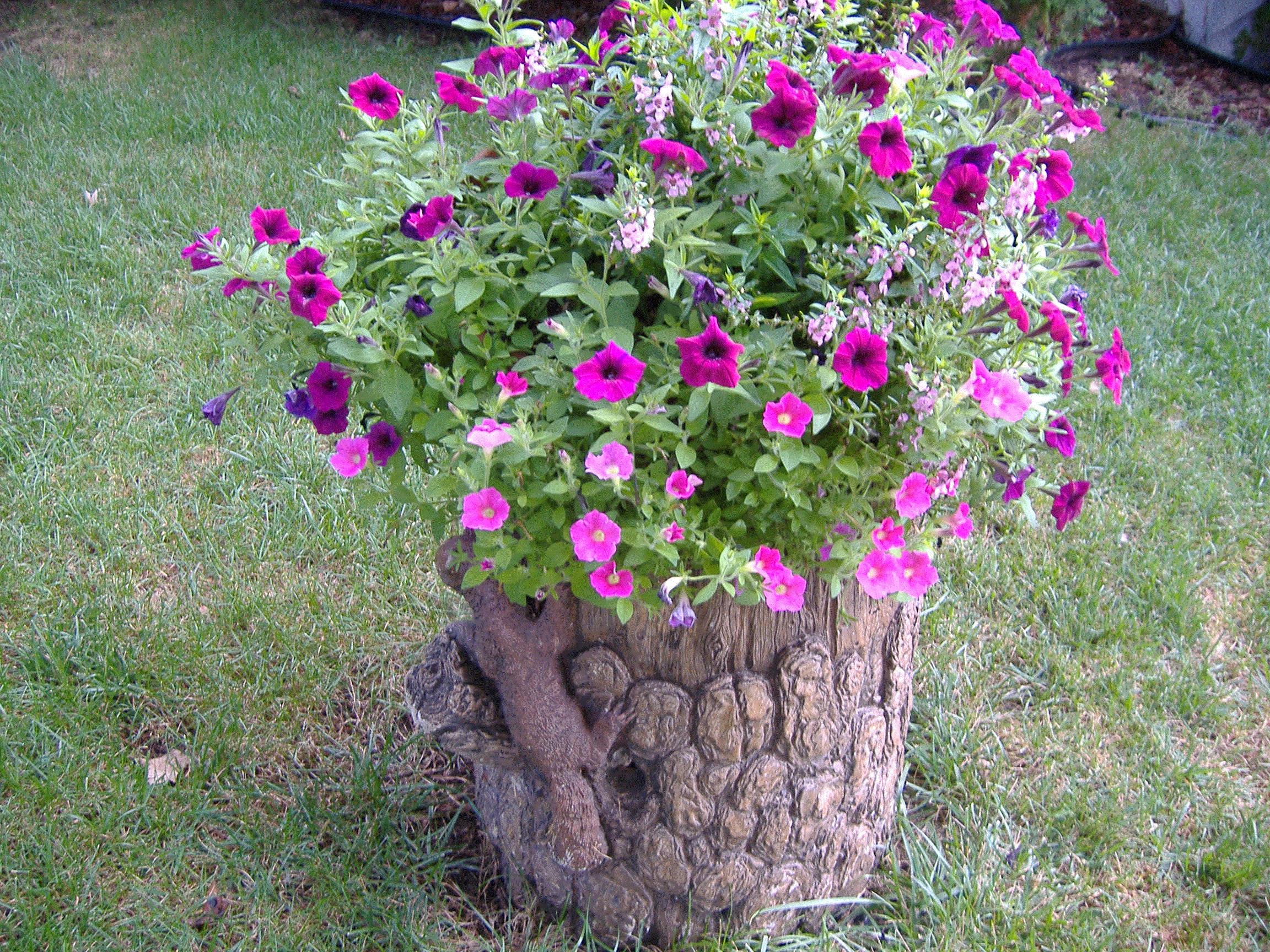 Evelyn, Battle Creek, MI