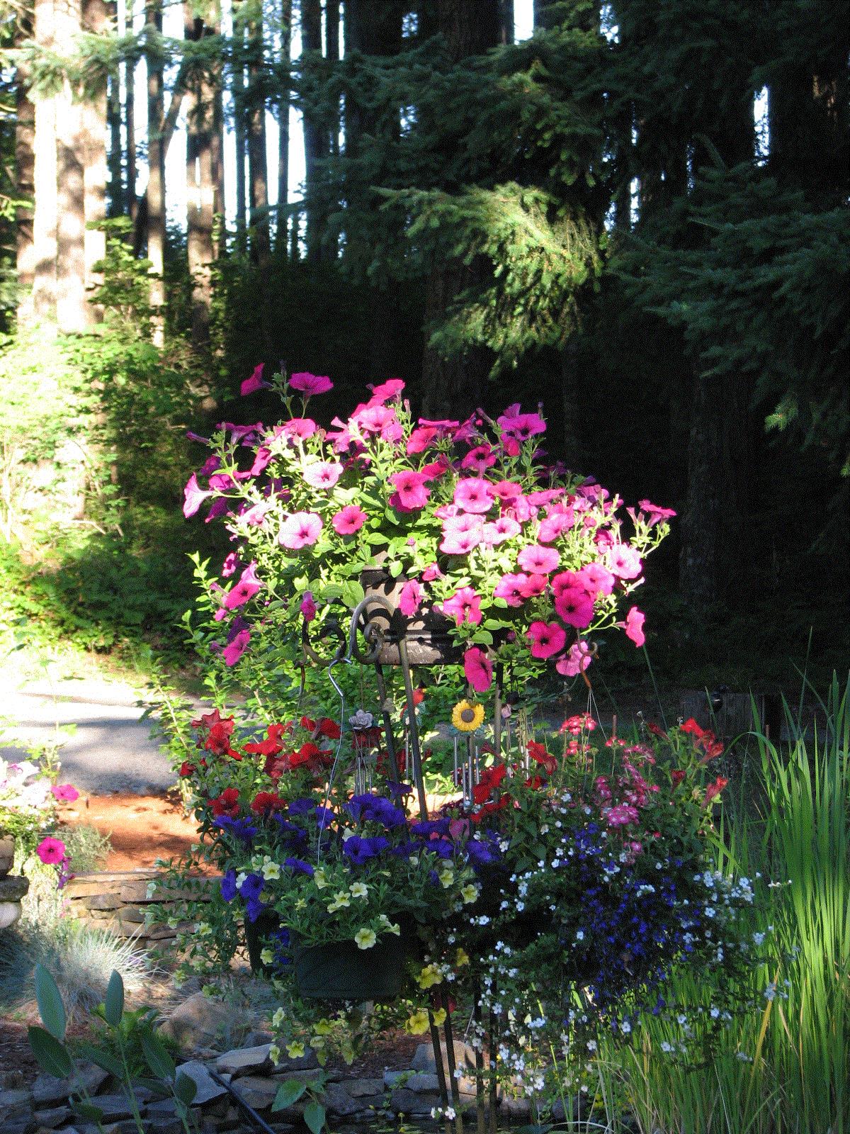 Michael, Estacada, Oregon