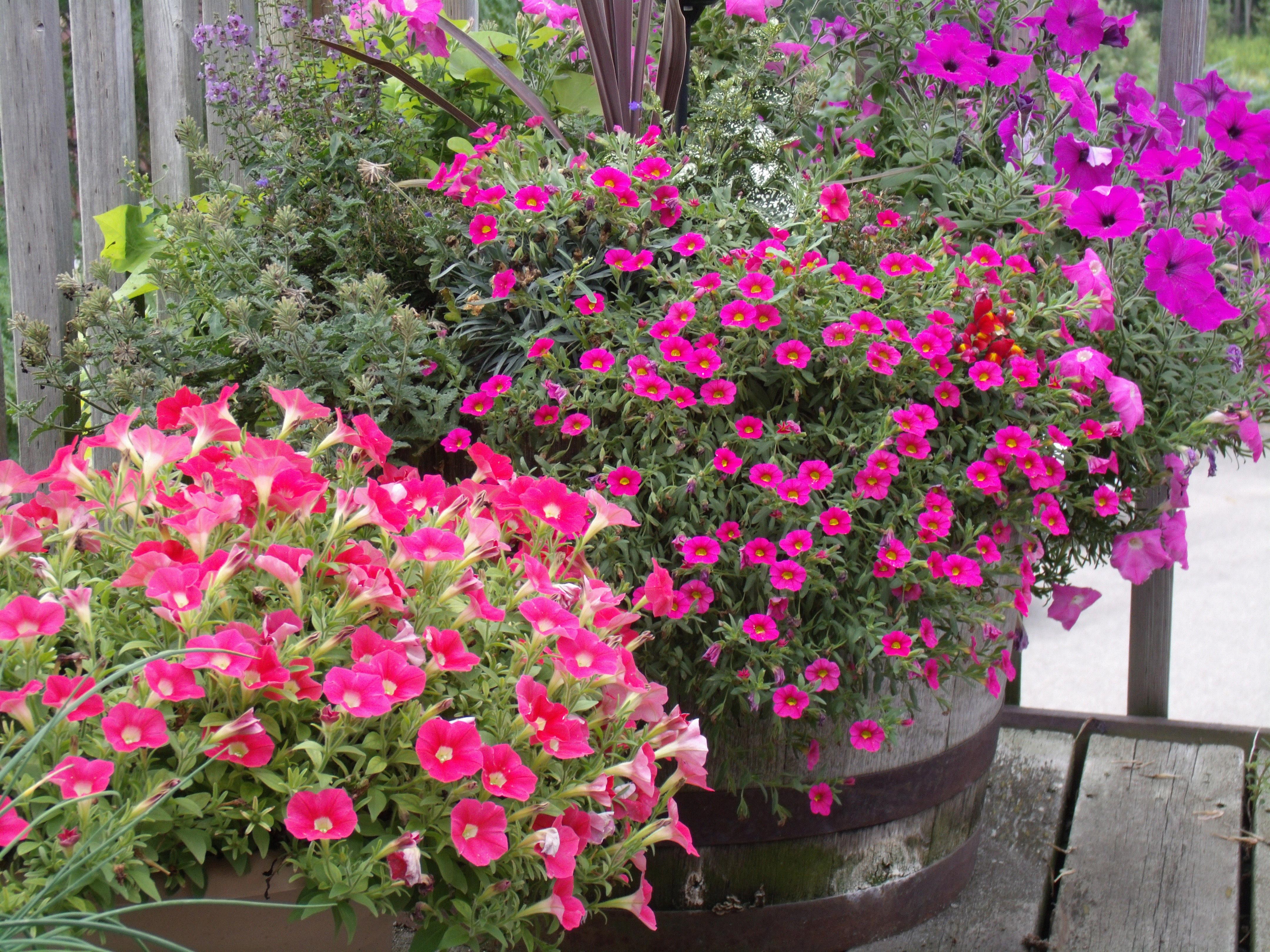 Mary, Orangeville, Ontario