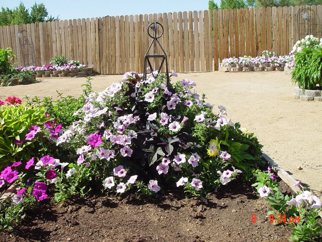 Gypsee, Carson City. NV