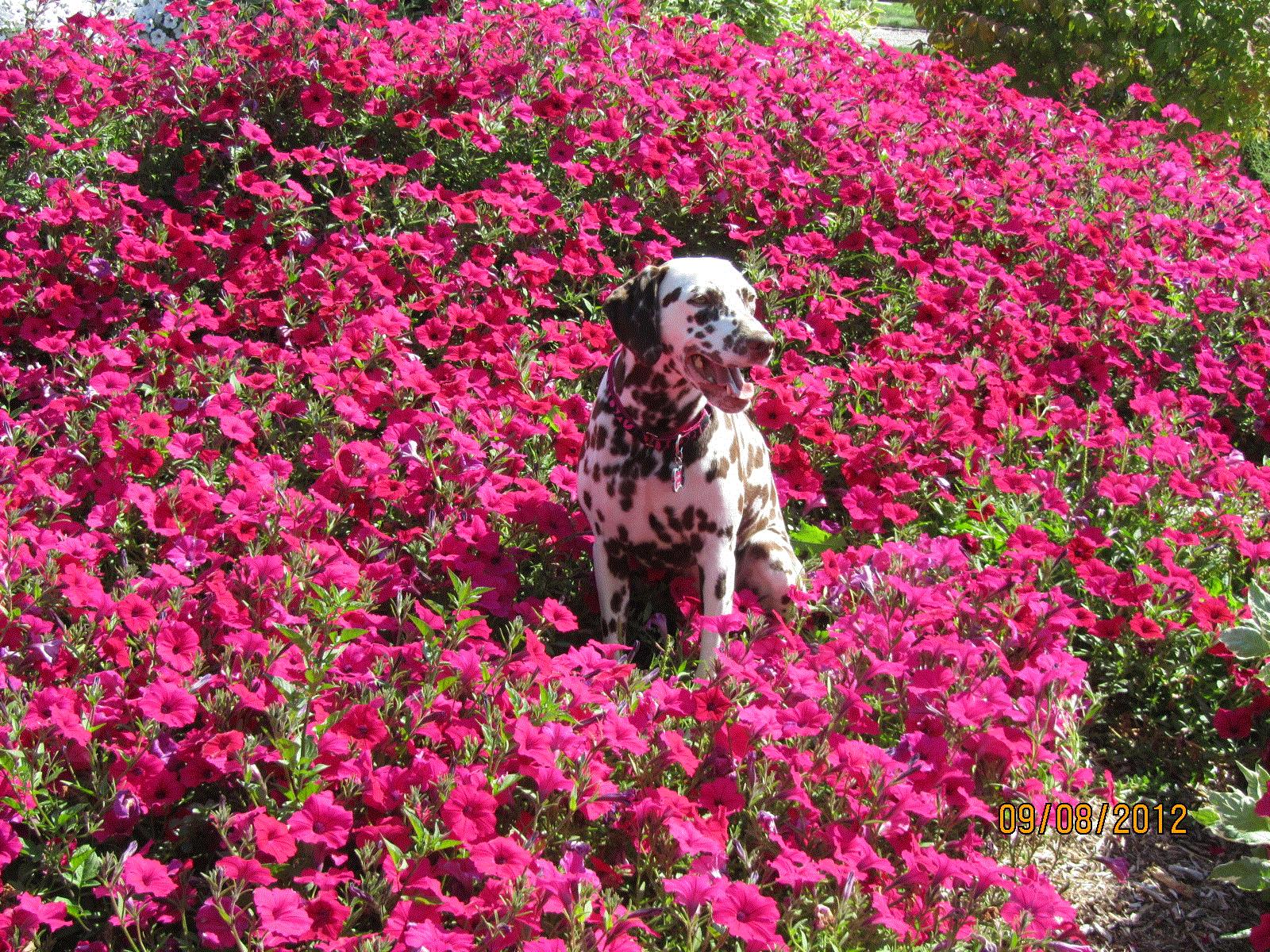 Julie, Idaho Falls, ID