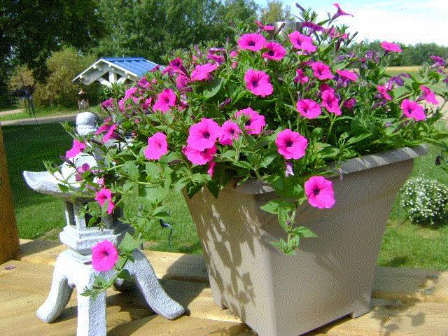 Sue, Elk Point, Alberta