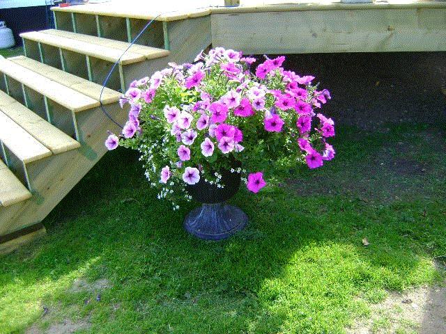 Sue, Elk Point, Alberta