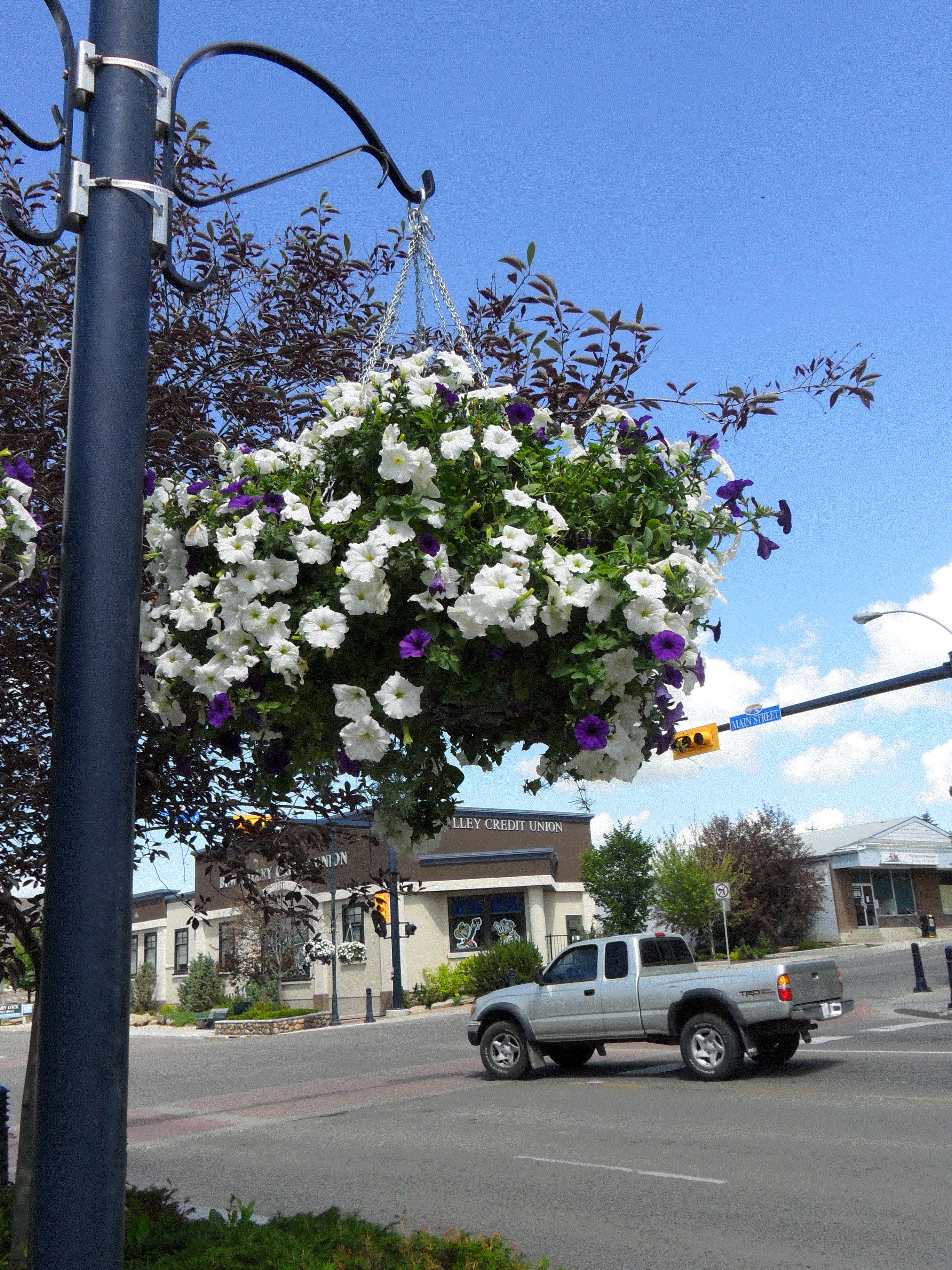 Carly, Airdrie, Alberta. Canada