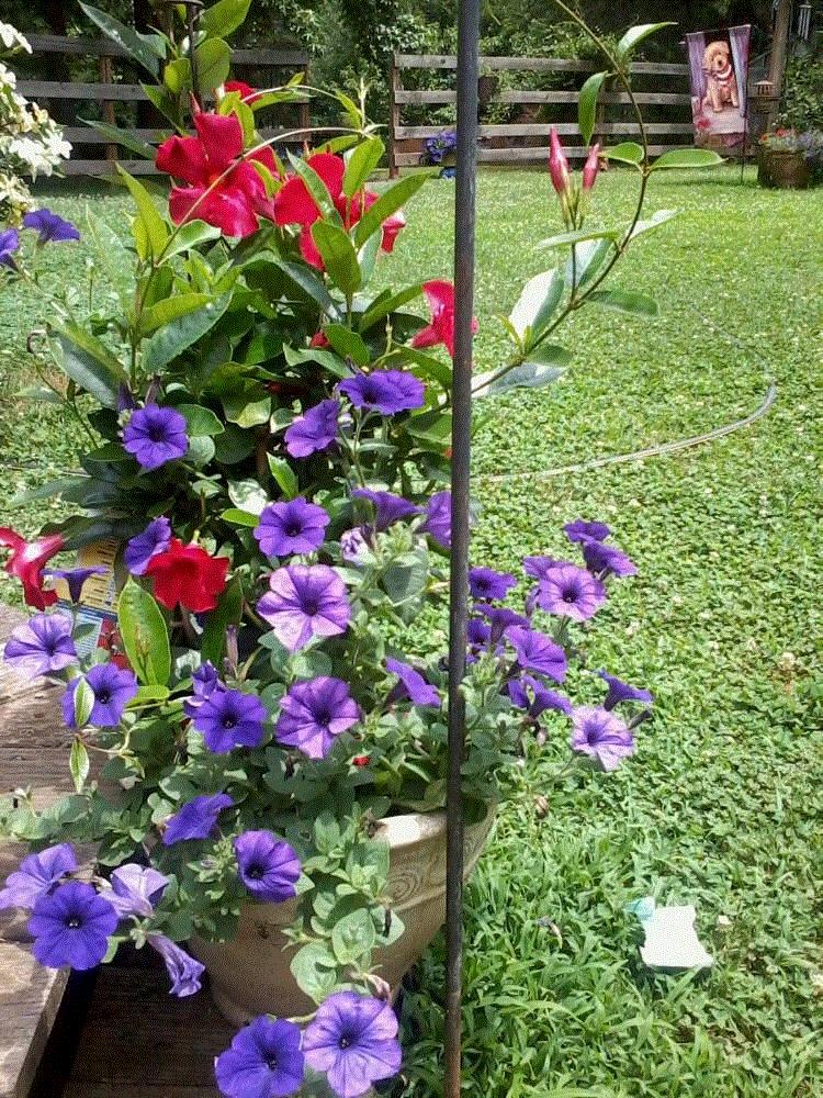 Marsha, Belews Creek, North Carolina